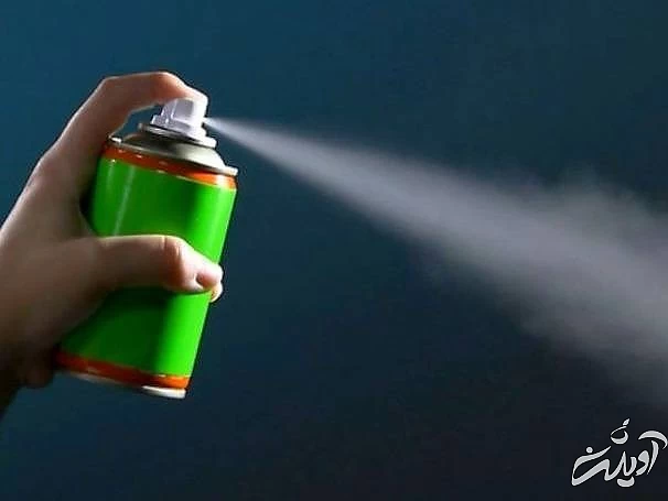 کشتن سوسک ها 